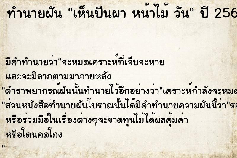 ทำนายฝันเห็นปืนผาหน้าไม้วัน ทำนายฝันทำนายฝันเห็นปืนผาหน้าไม้วัน